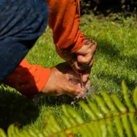 A person wearing an orange shirt is using a tool to work on the grass or soil, with water splashing around their hands.