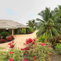 A picturesque home is surrounded by lush tropical vegetation and colorful flowers, with palm trees lining the entrance driveway.