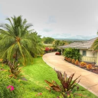 A picturesque landscape featuring a pathway leading to a house, surrounded by lush greenery and vibrant flowers. Palm trees and various plants are visible, with an open space in the background.