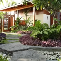 A serene garden pathway leads to a modern house surrounded by lush greenery and colorful plants.